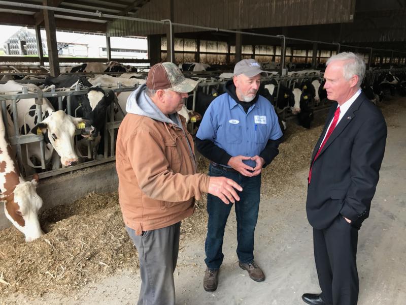 Sen. Johnson at dairy farm
