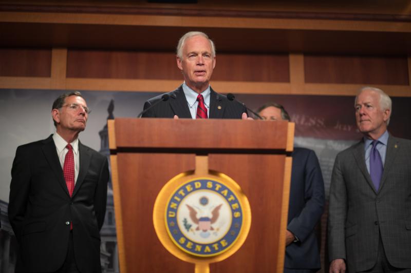 Sen. Johnson at Senate press conference