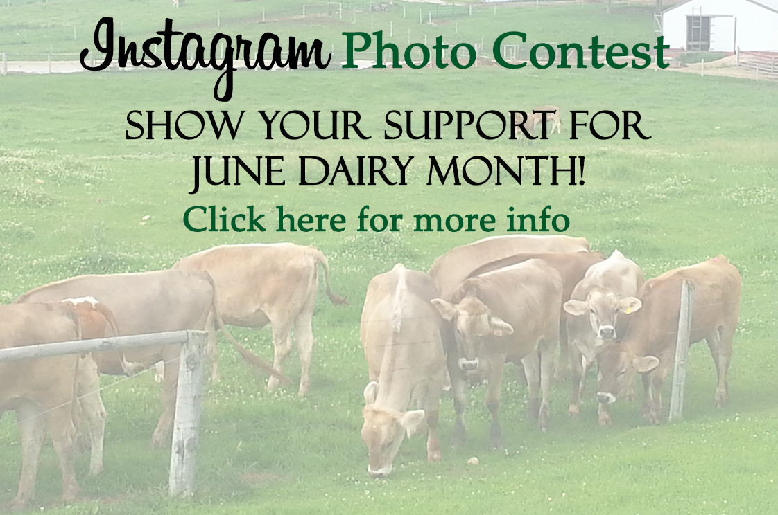 Johnson Announces June Dairy Month Instagram Photo Contest